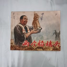 两个稻穗头