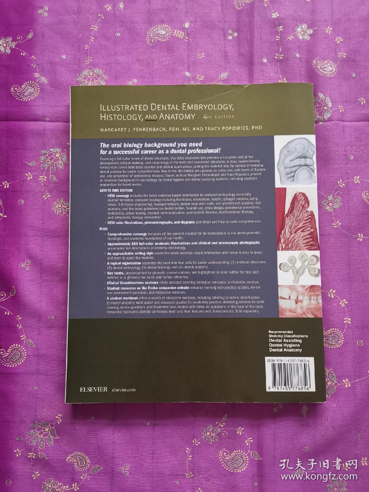 IllustratedDentalEmbryology,Histology,andAnantomy图解牙科胚胎学，组织学和解剖学,第4版