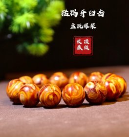 极品文玩化石猛犸顶级16mm臼齿手串，老料新工，材料要求高，新颖独特，个性十足，天然釉质纹路，极品保真，品味人生，14粒65克。