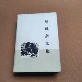 胡风杂文集