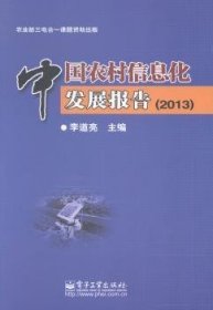 中国农村信息化发展报告（2013）