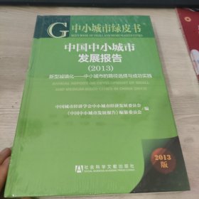 中小城市绿皮书·中国中小城市发展报告（2013）：新型城镇化中小城市的路径选择与成功实践