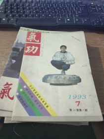 气功 1993.7