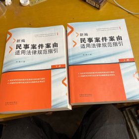 新编民事案件案由适用法律规范指引（套装上下册）