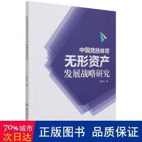 中国竞技体育无形资产发展战略研究