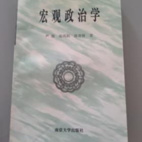 宏观政治学