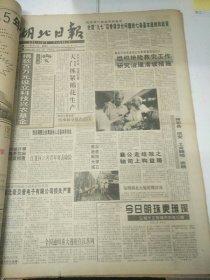 湖北日报1995年6月23日