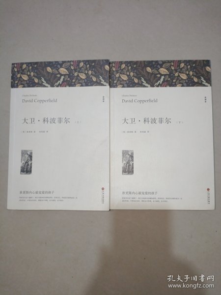 大卫·科波菲尔