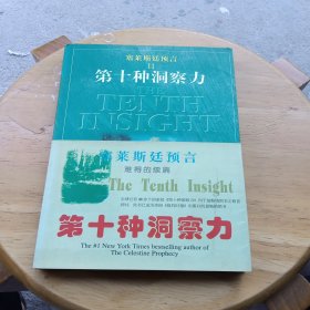 塞莱斯廷预言Ⅱ第十种洞察力