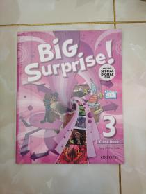 big surprise 英语平装 class book 3