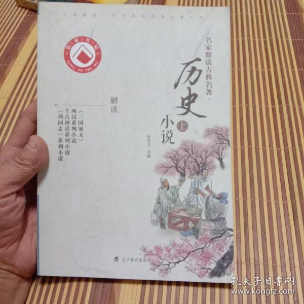 名家解读古典名著：历史小说（上）