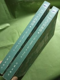 人生的枷锁 上下