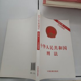 中华人民共和国刑法（含修正案十一及法律解释）