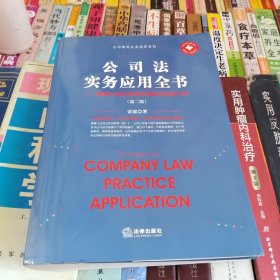 公司法实务应用全书：律师公司业务基本技能与执业方法（第二版）