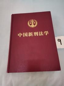 中国新刑法学。