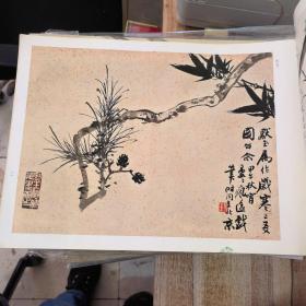 荣宝斋画谱  一六0  花卉部分&