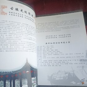 仙潭吟诗影集