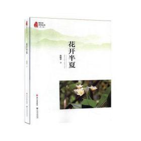 花开半夏 中国现当代文学 连晓华 新华正版