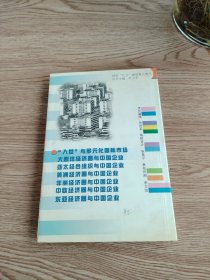 A17 “入世”与多元化国际市场