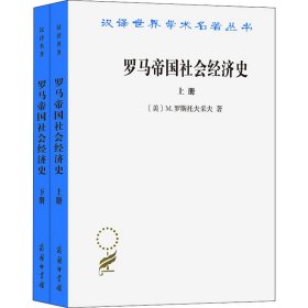 罗马帝国社会经济史(全2册)