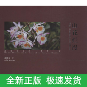 山花烂漫