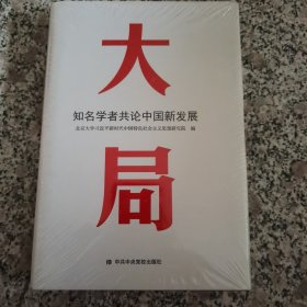 大局：知名学者共论中国新发展