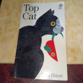 Top Cat 猫咪午餐吃什么 