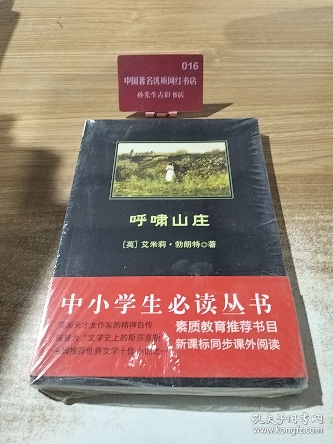 呼啸山庄