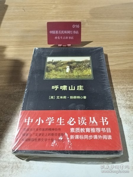 呼啸山庄