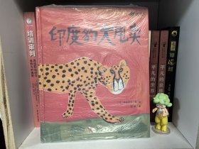 印度豹大甩卖（入选2019百班千人学前共读第10期；入选台湾地区博客来书店2018年度选书）