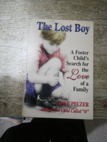 The Lost Boy：A Foster Child's Search for the Love of a Family