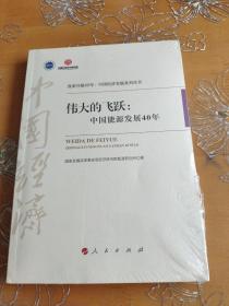 伟大的飞跃：中国能源发展40年/改革开放40年：中国经济发展系列丛书