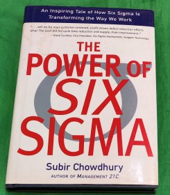 The power of six sigma英文书