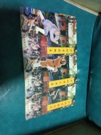 中国嵩山少林寺武功传世秘笈 少林寺大洪拳/螳螂拳/朝阳拳