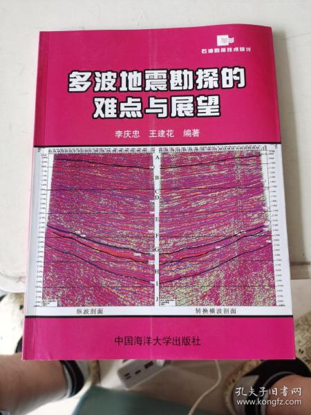 多波地震勘探的难点与展望