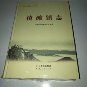 滇滩镇志 未拆封