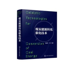 煤炭能源转化催化技术