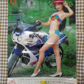 挂历1994年 美女泳装摩托挂历，发发发     13张全 塑膜