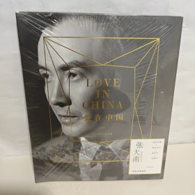 DVD 爱在中国 〈张天甫〉未开封 全新