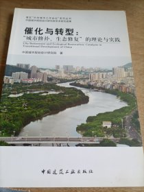 催化与转型:“城市修补、生态修复”的理论与实践