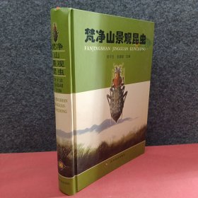 梵净山景观昆虫