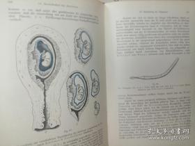 产科护理 1927年英文1