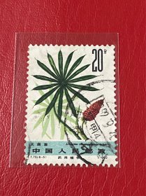 T72《药用植物（第二组）》信销散邮票6-5“天南星”