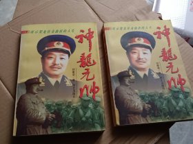 神龙元帅上下两册