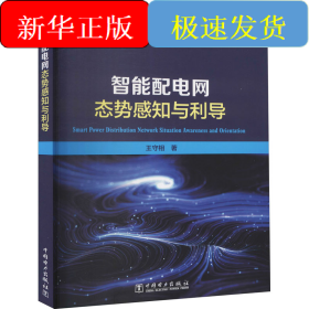 智能配电网态势感知与利导