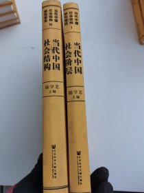 当代中国社会结构研究报告（两册合售）