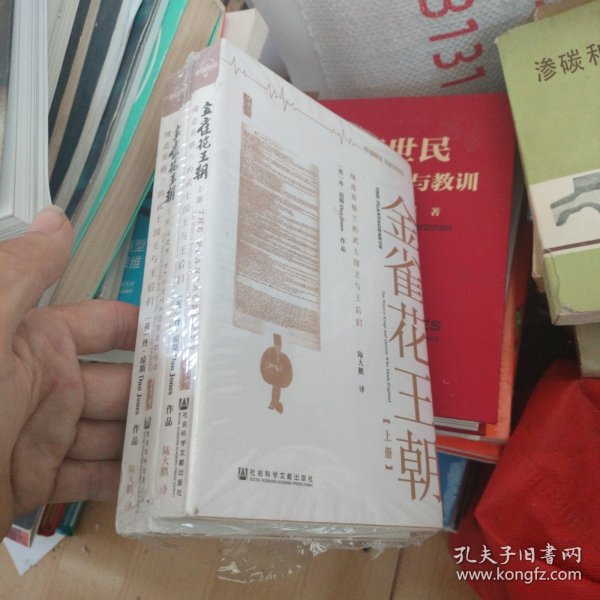 金雀花王朝 上下