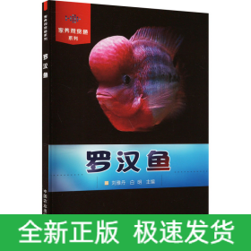 羅漢魚