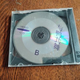 与鸭共舞【2碟装VCD】