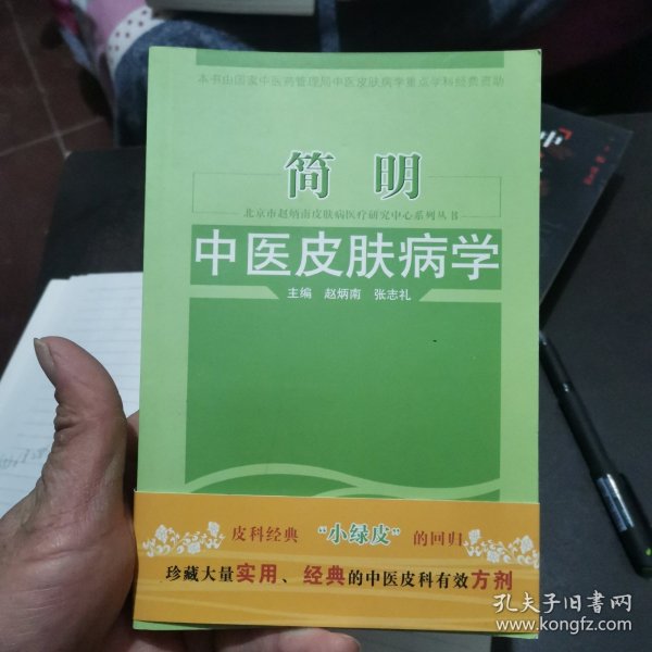 北京市赵炳南皮肤病医疗研究中心系列丛书：简明中医皮肤病学